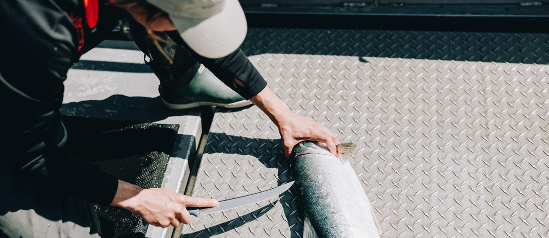 The Best Fillet Knives for Fish: Precision, Performance, & Durability