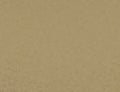 Desert Tan Grivory Custom Left Handle Component - Color Swatch | Benchmade Knife Co.
