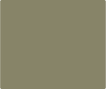 Olive Drab Green 945 Custom Barrel Spacer - Color Swatch | Benchmade Knife Co.