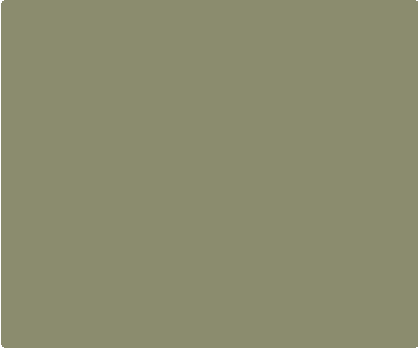 Olive Drab 580 Backspacer Component - Color Swatch | Benchmade Knife Co.