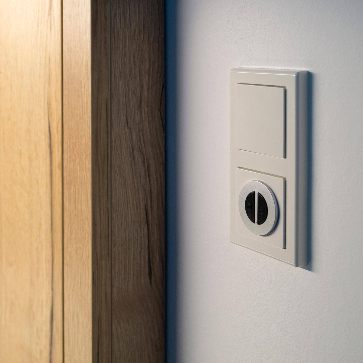 Interrupteur DURAL LED à encastrer Emotion Insert de prise, à encastrer, télécommande manuelle LED EMOTION plastique argent/noir 13,1mm