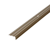 Treppenstufenprofil gebohrt PROTECT Aluminium eloxiert titan 20mm 270cm