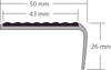 DURAL Profilé pour marches d'escalier pour 2 x garniture 13 mm TREDSAFE PVC argenté anodisé 24mm 250cm